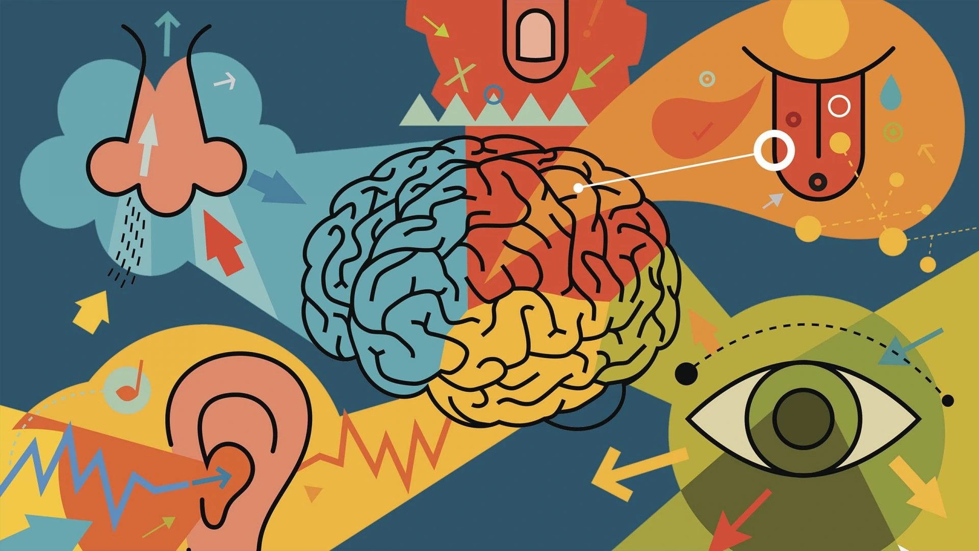 Human Emotions Perception